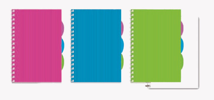 Пластиковые notebook Феникс+ Пластиковые notebook Феникс+