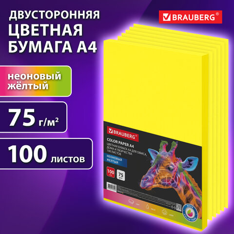������ ������� BRAUBERG ��� ������� �������, �����