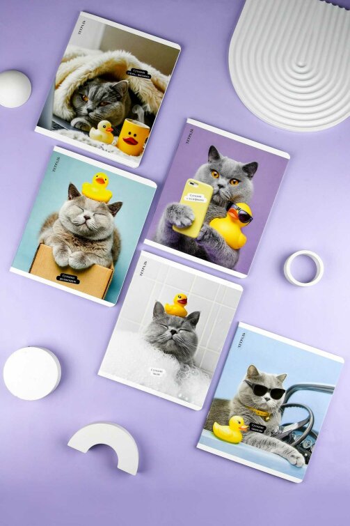 �������, �5+, 48 �, ��.���� - ������, ���������� ���� ���, ������ ������� (2 �����)