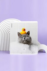 Тетрадь, А5+, 48 л, вн.блок - клетка, выборочный ТВИН лак, мягкий переплёт (2 скобы) Тетрадь, А5+, 48 л, вн.блок - клетка, выборочный ТВИН лак, мягкий переплёт (2 скобы)