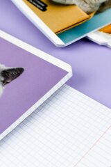 �������, �5+, 48 �, ��.���� - ������, ���������� ���� ���, ������ ������� (2 �����)