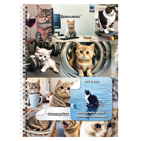 ��������� BRAUBERG, ″���� ����″, �5