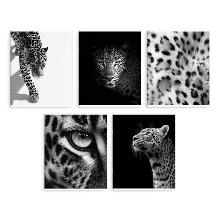 �������, �5+, 48 �, ��.���� - ������, ���������� ���� ���, ������ ������� (2 �����)