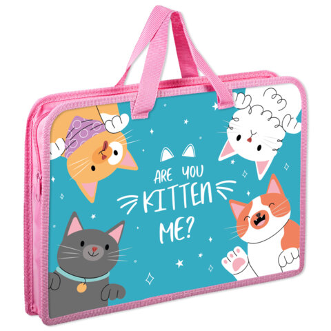����� �� ������ � ������� �������� ″Cat gang″