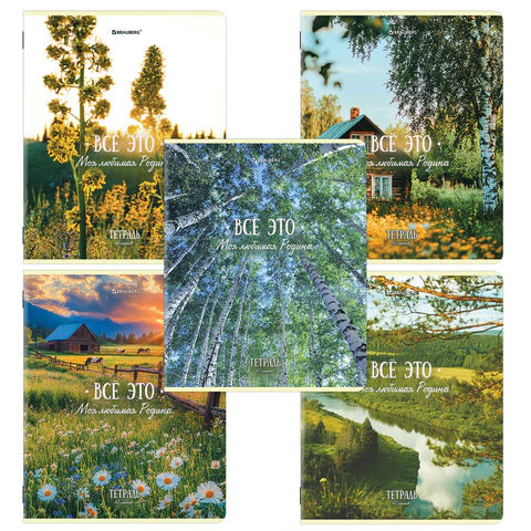 ������� BRAUBERG, ″������� �������″