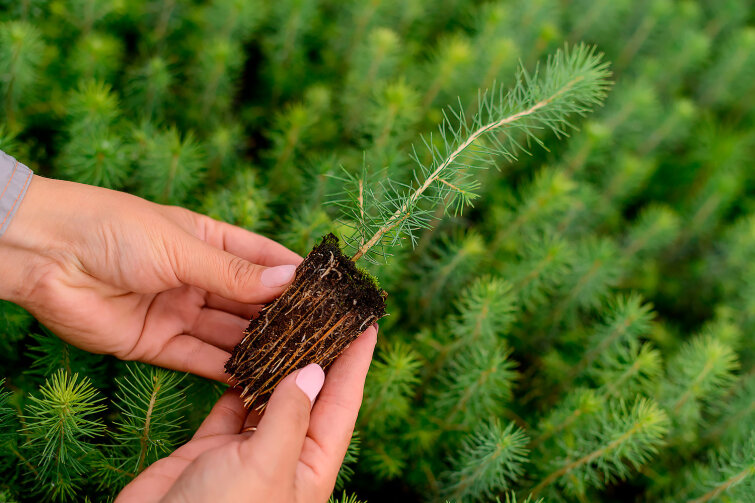 ������������� ��� ������ ����� ������������������ � 2025 ����