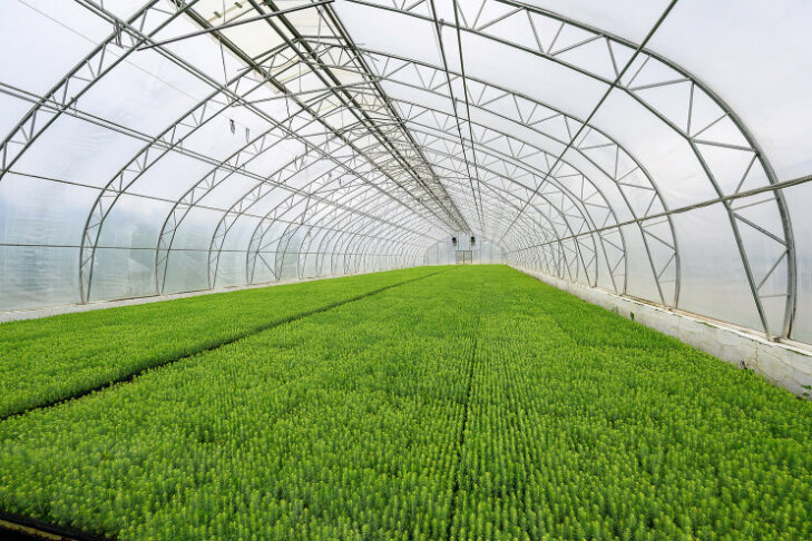 ������������� ��� ������ ����� ������������������ � 2025 ����