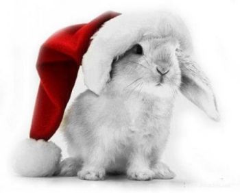 ������ �� ����� 2011 ��� :-)