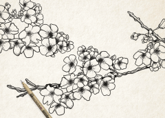 SAKURA PIGMA INK - мировой стандарт архивных чернил SAKURA PIGMA INK - мировой стандарт архивных чернил