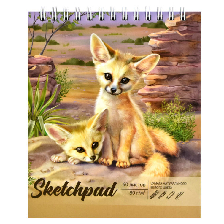 �������� �6