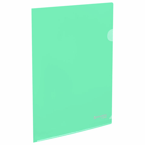 �����-������ BRAUBERG PASTEL, ������