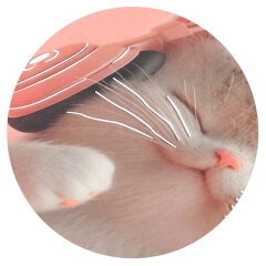 Дневник школьный (для музыкальной школы) арт. 72681 КОТЕНОК МЕЛОМАН / твёрдый переплёт 7БЦ, А5+, 48 л., тиснение фольгой, глянцевая ламинация, печать в одну краску, справочная информация Дневник школьный (для музыкальной школы) арт. 72681 КОТЕНОК МЕЛОМАН / твёрдый переплёт 7БЦ, А5+, 48 л., тиснение фольгой, глянцевая ламинация, печать в одну краску, справочная информация