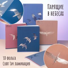 Тетради «Парящие в небесах» от Hatber: за спиной два крыла! Тетради «Парящие в небесах» от Hatber: за спиной два крыла!