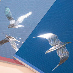 ������� &laquo;������� � �������&raquo; �� Hatber: �� ������ ��� �����!