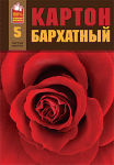 Новинки ПЗБФ Новинки ПЗБФ