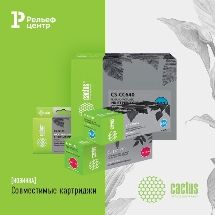 Cactus � ����������� ������� ��� ������ ���� � � �����