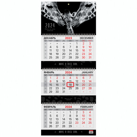 ��������� ����������� �� 2024 � BRAUBERG, ″��������″