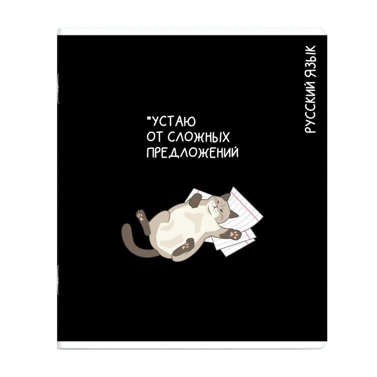 Тетрадь предметная арт. 69830/ РУССКИЙ ЯЗЫК /48 л., А5+, вн.блок - линия, выборочный ТВИН УФ-лак,