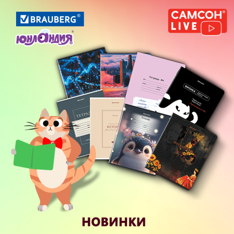 ������ LIVE: ������� BRAUBERG � ��������