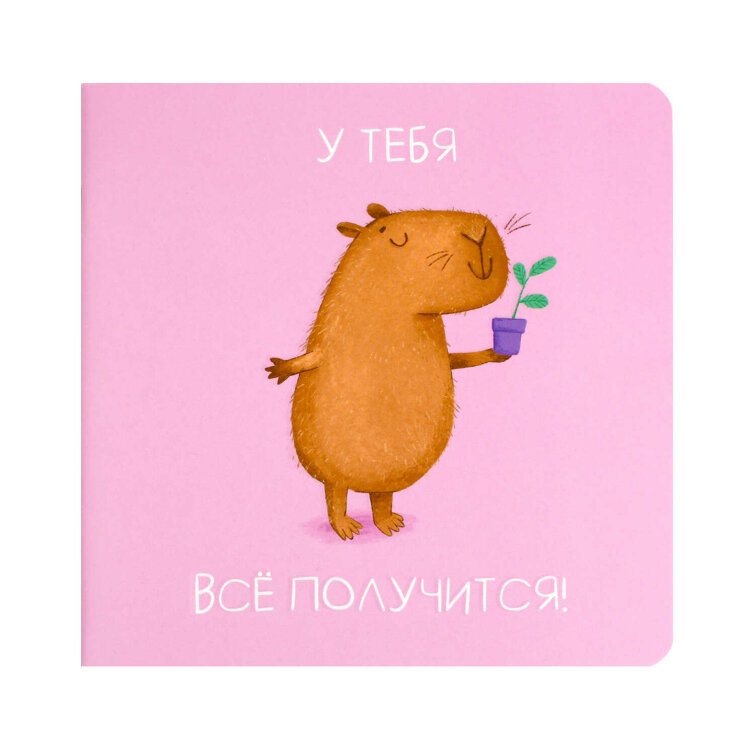 , 130130 , 32 , . -   ,  -,  