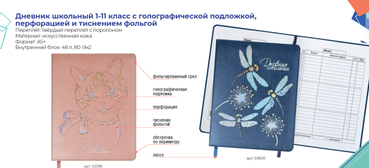 Товарный обзор: дневники в твёрдом переплёте с поролоном из новой коллекции Школа 2021 от Феникс+. Товарный обзор: дневники в твёрдом переплёте с поролоном из новой коллекции Школа 2021 от Феникс+.