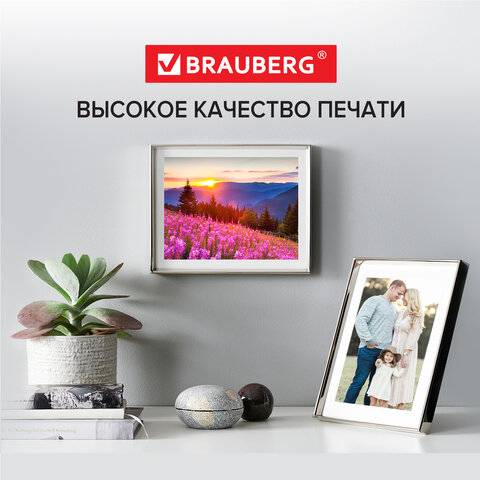 ������������� ���������� BRAUBERG