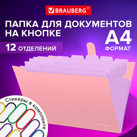 Папка-органайзер на кнопке 12 отделений, BRAUBERG Extra Папка-органайзер на кнопке 12 отделений, BRAUBERG Extra
