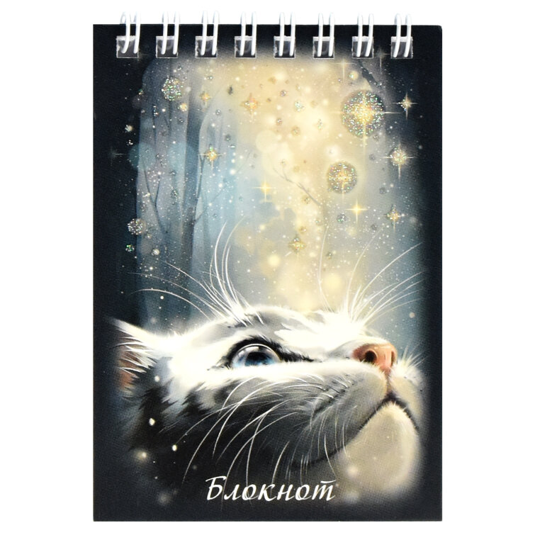 Блокнот, А7, 40 л, КОТ СО ЗЕВЕЗДАМИ, ФЕНИКС+ Блокнот, А7, 40 л, КОТ СО ЗЕВЕЗДАМИ, ФЕНИКС+