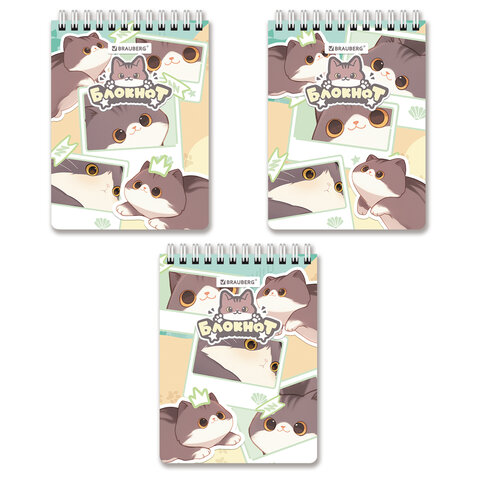  BRAUBERG, ″ ″,  6
