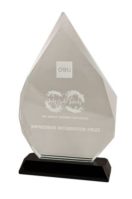 MERLION получила свою первую награду от DELI за успешный старт и перспективное сотрудничество