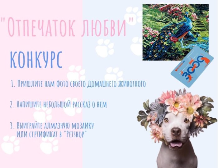 ������� �� ″��������″