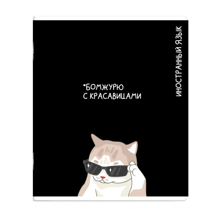 Тетрадь предметная арт. 69829/ ИНОСТРАННЫЙ ЯЗЫК /48 л., А5+, вн.блок - клетка, выборочный ТВИН УФ-лак,