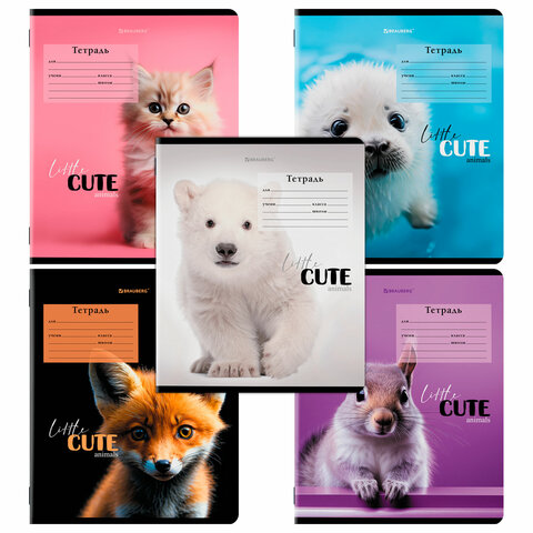 Тетрадь BRAUBERG ″CUTE ANIMALS″, 12 листов Тетрадь BRAUBERG ″CUTE ANIMALS″, 12 листов