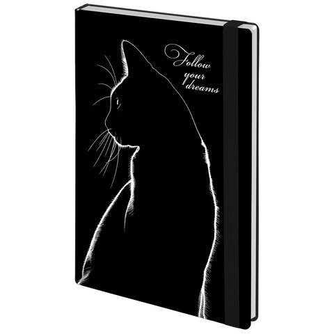 ���������� �������������� BRAUBERG, ″Black cat″