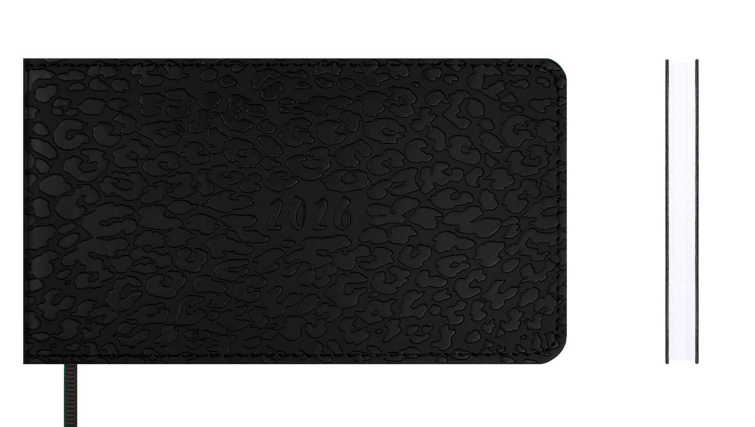   2026 ESCALADA,  150x87 , 64 .,  ,   ″″,  