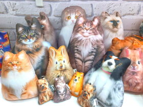 ��� �� &laquo;������&raquo; ��������, ��� ������������ ����� �� ��-������!