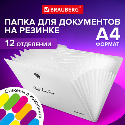 Папка-органайзер на резинке 12 отделений, BRAUBERG Glassy Папка-органайзер на резинке 12 отделений, BRAUBERG Glassy