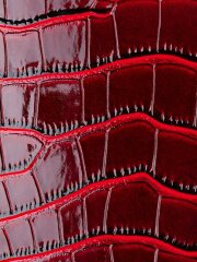 Croco Pattern 2026