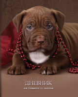Дневник для учеников 5-11 классов ″Chocolate puppy″: верный друг Дневник для учеников 5-11 классов ″Chocolate puppy″: верный друг