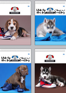 Блокноты ″Pets Show″: ваши верные друзья Блокноты ″Pets Show″: ваши верные друзья