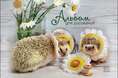Новинки альбомов для рисования от ПЗБМ Новинки альбомов для рисования от ПЗБМ