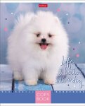 Тетради Hatber: Doggie. Щенки. Тетради Hatber: Doggie. Щенки.