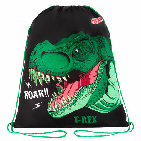 Мешок для обуви ПИФАГОР ″Dino roar″ Мешок для обуви ПИФАГОР ″Dino roar″