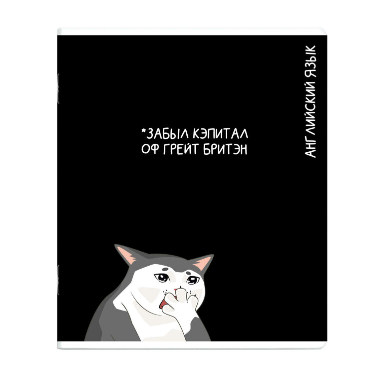 Тетрадь предметная арт. 69828/ АНГЛИЙСКИЙ ЯЗЫК /48 л., А5+, вн.блок - клетка, выборочный ТВИН УФ-лак,