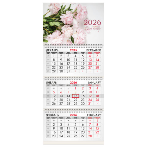    2026 ., BRAUBERG, ″″