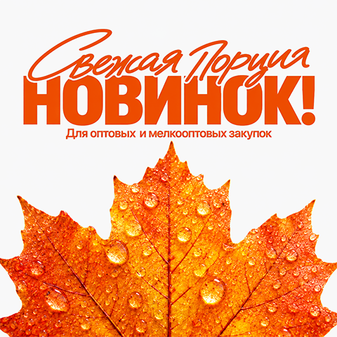 Новинки дня: игры и товары для творчества! Новинки дня: игры и товары для творчества!