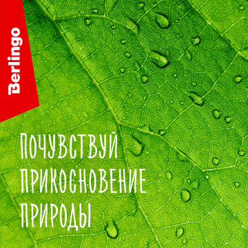 ���� ����� � ������� � Berlingo