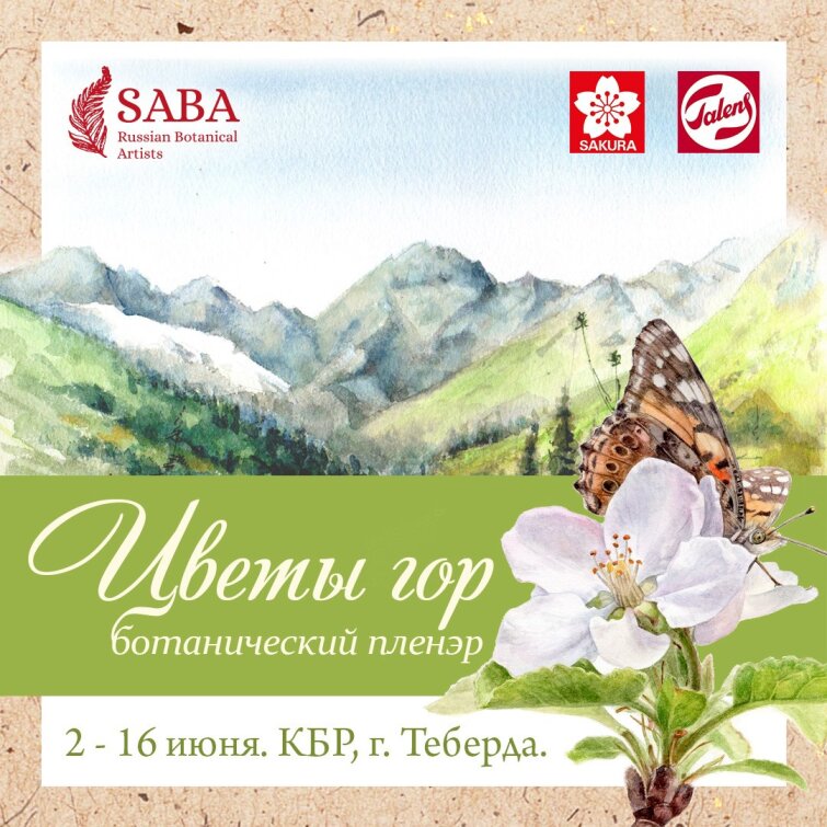 Royal Talens � Sakura � �������� ������������� ������� &laquo;����� ���&raquo;