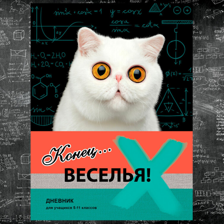 «Конец веселью» - дневник BG. Новый сезон 2021 «Конец веселью» - дневник BG. Новый сезон 2021