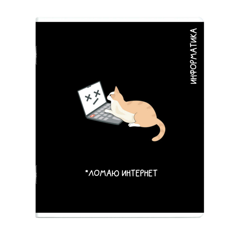 Тетрадь предметная арт. 69827/ ИНФОРМАТИКА /48 л., А5+, вн.блок - клетка, выборочный ТВИН УФ-лак,